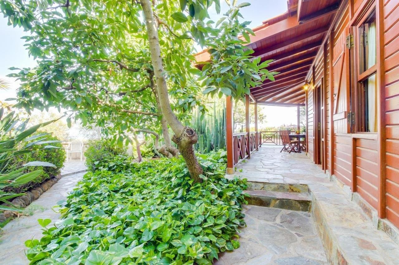 Villa Mimosa Arafo Exterior foto